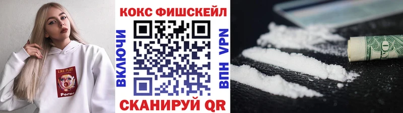 COCAIN Fish Scale  площадка клад  Южноуральск 