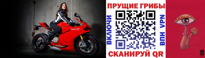 площадка состав  Южноуральск  Галлюциногенные грибы мухоморы 